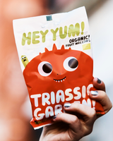Hand holding a package of Hey Yum! organic Triassic Garden fruit mallow gummies against a blurred background.