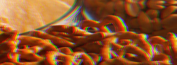 The Future Of Snacking: 2025 Trend Report